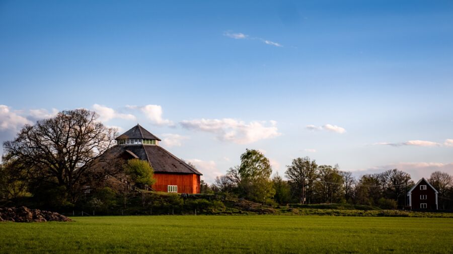 Things to do in Linköping in the Summer - Live to Grow